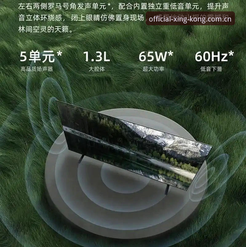 深度揭秘：星空APP下载方式背后的真相——老用户手把手教你认准正版入口
